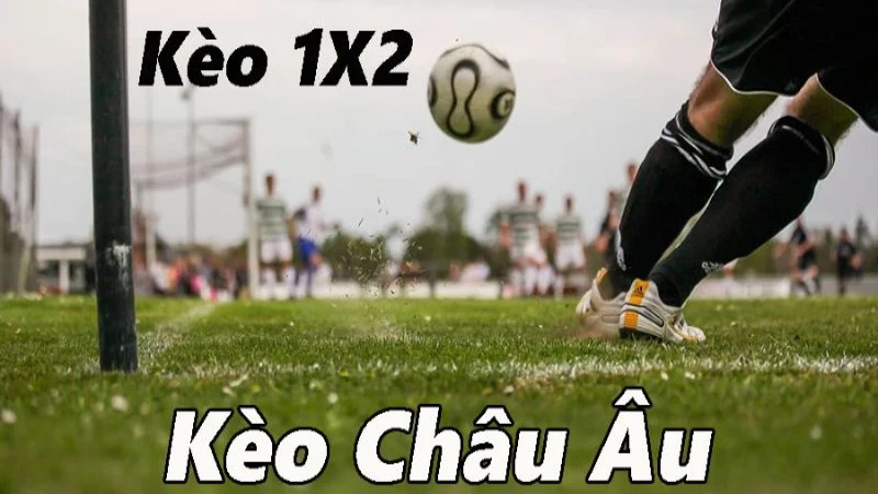 Kèo Châu Âu là gì?
